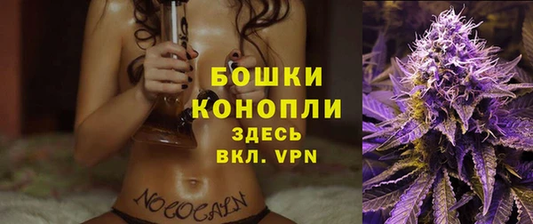 бошки Арсеньев